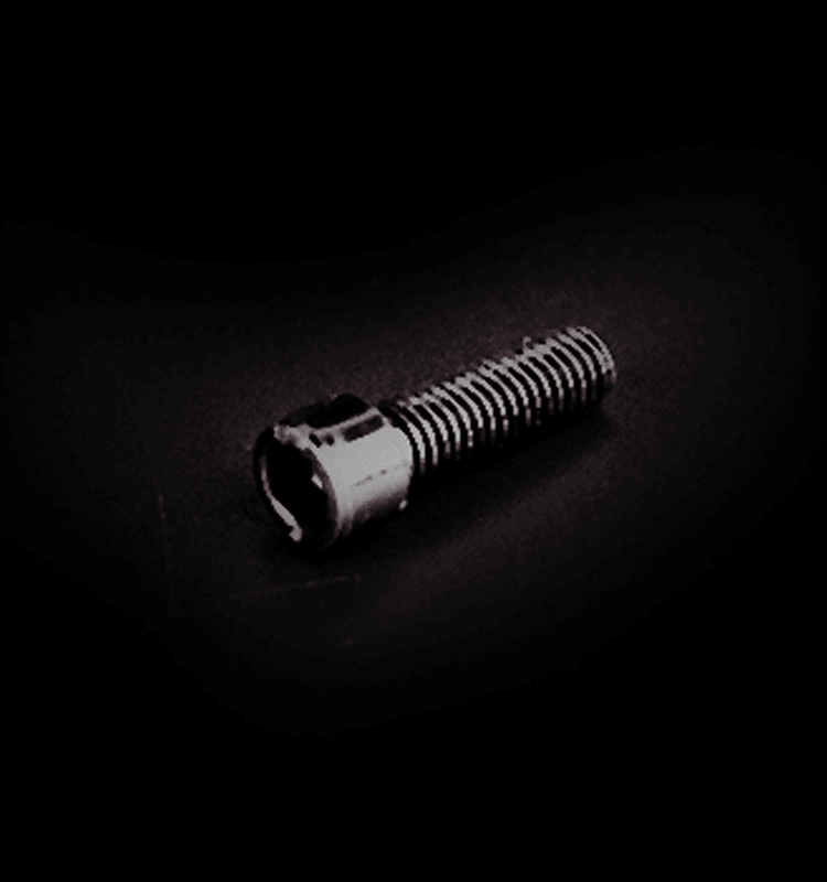 Hexagon socket bolt