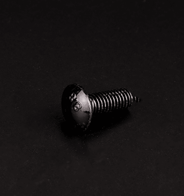 Carriage bolt