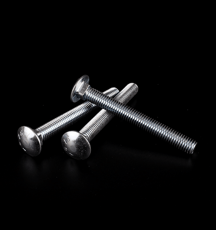 Carriage bolt