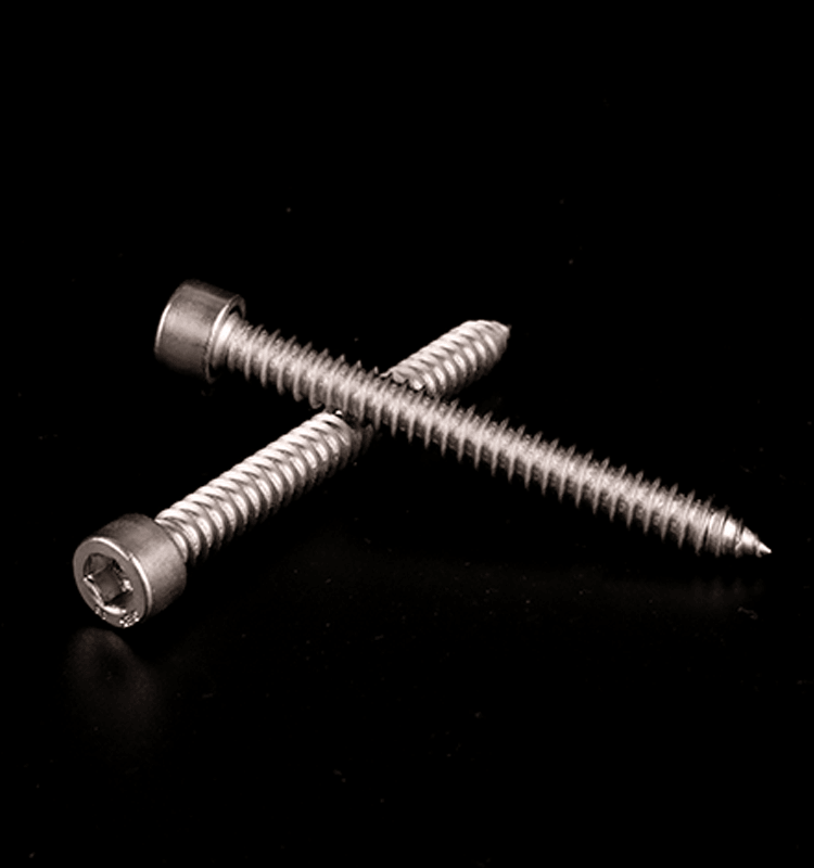 Hexagonal cylindrical head stainless steel self tapping screws