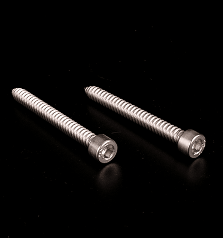 Hexagonal cylindrical head stainless steel self tapping screws