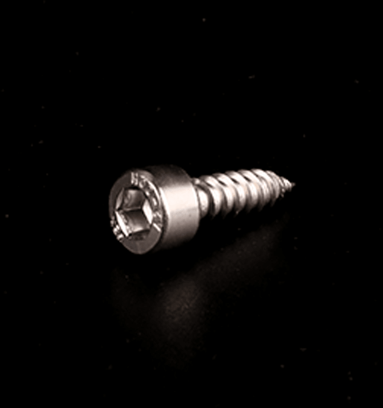 Hexagonal cylindrical head stainless steel self tapping screws